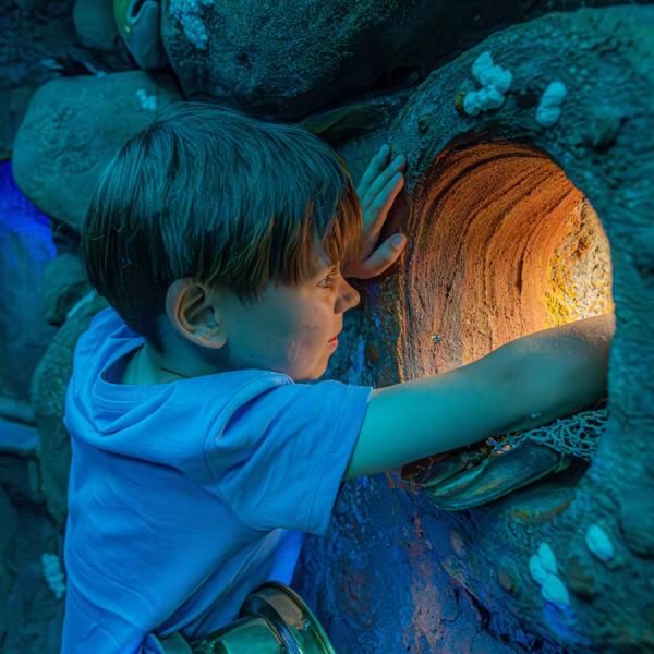 In der Ausstellung das Økolariet untersucht ein Junge eine kleine Höhle, aus der ein warmes Licht strahlt.