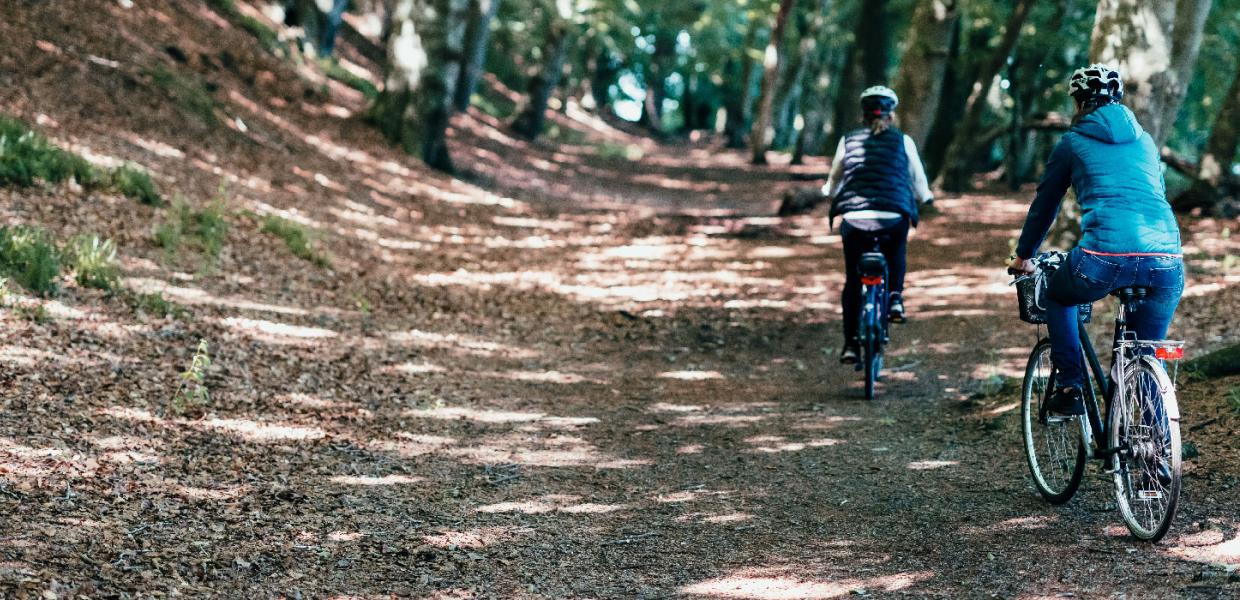 Cykel-i-skoven-NaturparkLillebælt-Kolding