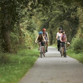 Familie på opdagelse på cykel